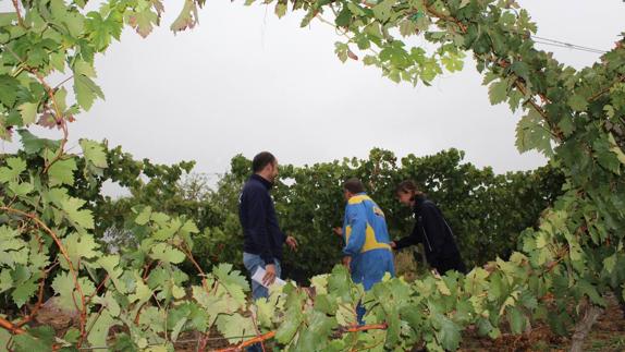 El Paro Cae En La Rioja Un Y Se Sit A En Personas La Rioja